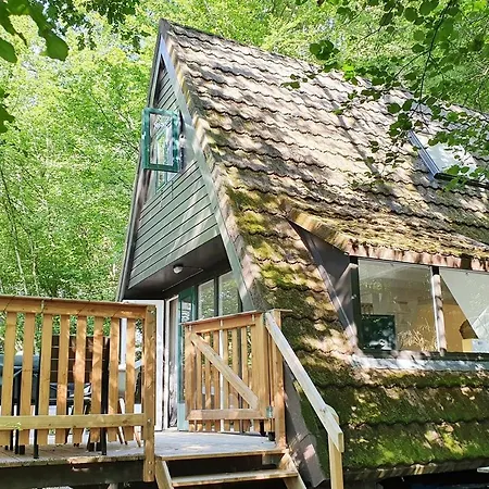 Modern A-frame Ardennen Durbuy