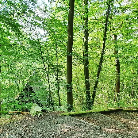 Chalet Moderne A-frame Midden In Het Bos, Luxe Durbuy