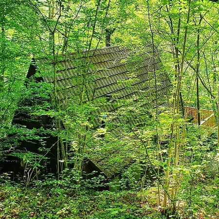 Modern A-frame Ardennen 木屋 *