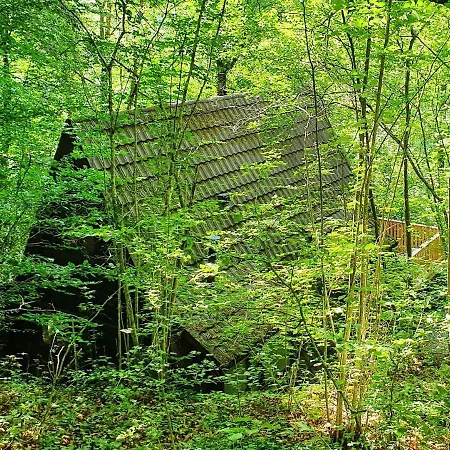 Modern A-frame Ardennen Chalet *