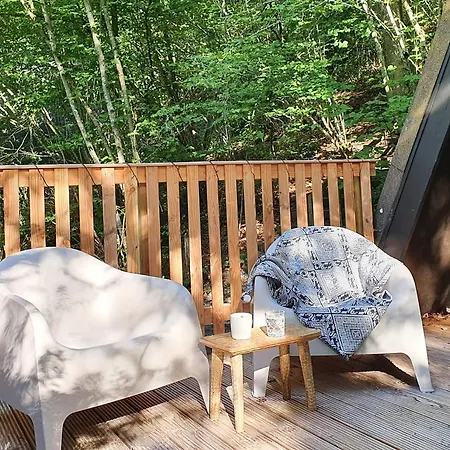 Moderne A-frame Midden In Het Bos, Luxe 샬레