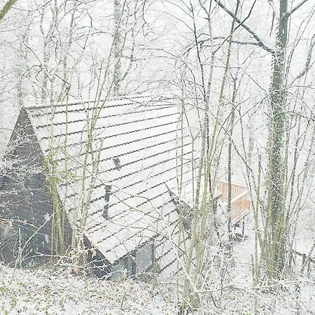 Modern A-frame Ardennen 杜柏