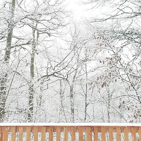 Modern A-frame Ardennen * 杜柏