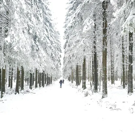 Modern A-frame Ardennen