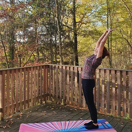 Modern A-frame Ardennen 木屋 *