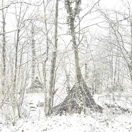 Modern A-frame Ardennen *