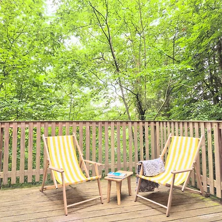 Moderne A-frame Midden In Het Bos, Luxe