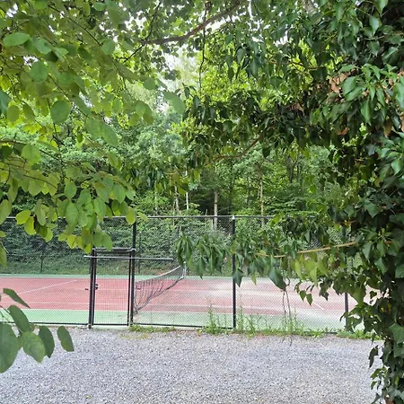 Alpesi faház Moderne A-frame Midden In Het Bos, Luxe